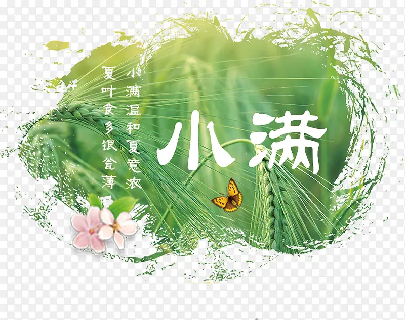 绿色植物小满二十四节气装饰