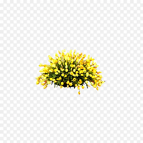 手绘黄色的花