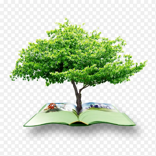 树与书