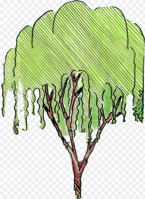 手绘线条创意大树植物