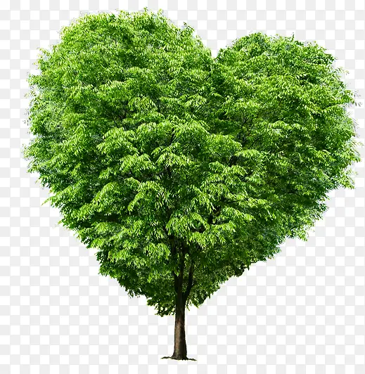 绿色大树爱心装饰