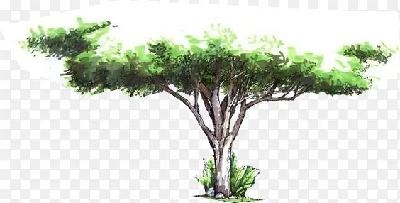 合成园林设计水彩大树