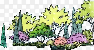 手绘彩色公园装饰大树
