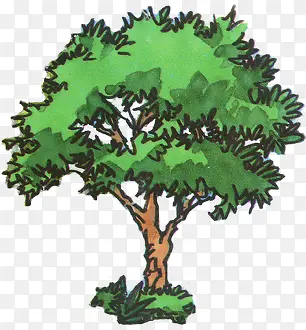高清创意合成素材绿色大树