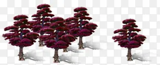 紫色大树别墅景观