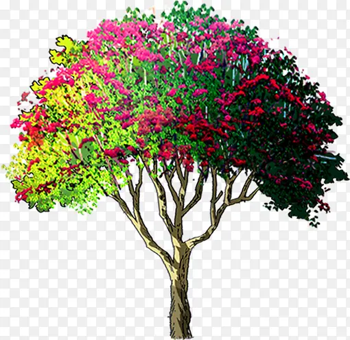 手绘彩色漫画大树植物