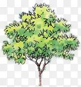 绿色手绘优美线条大树