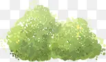 手绘绿色清新植物大树