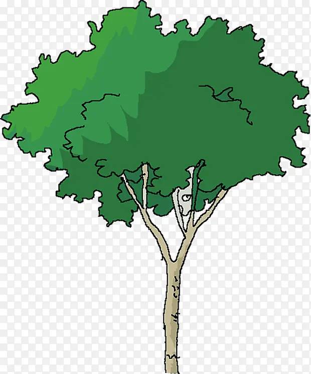 手绘植物大树漫画