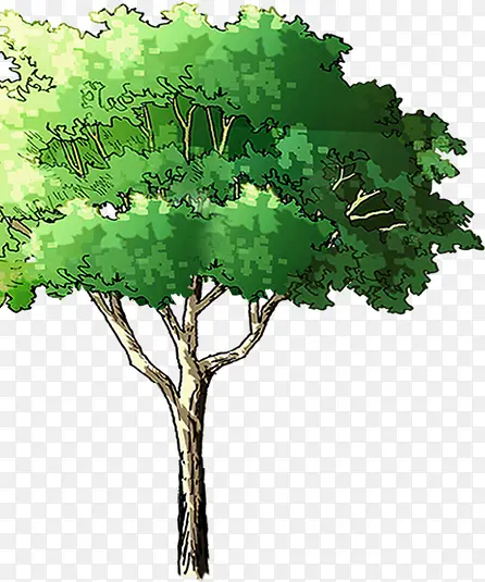 手绘绿色夏季景观大树