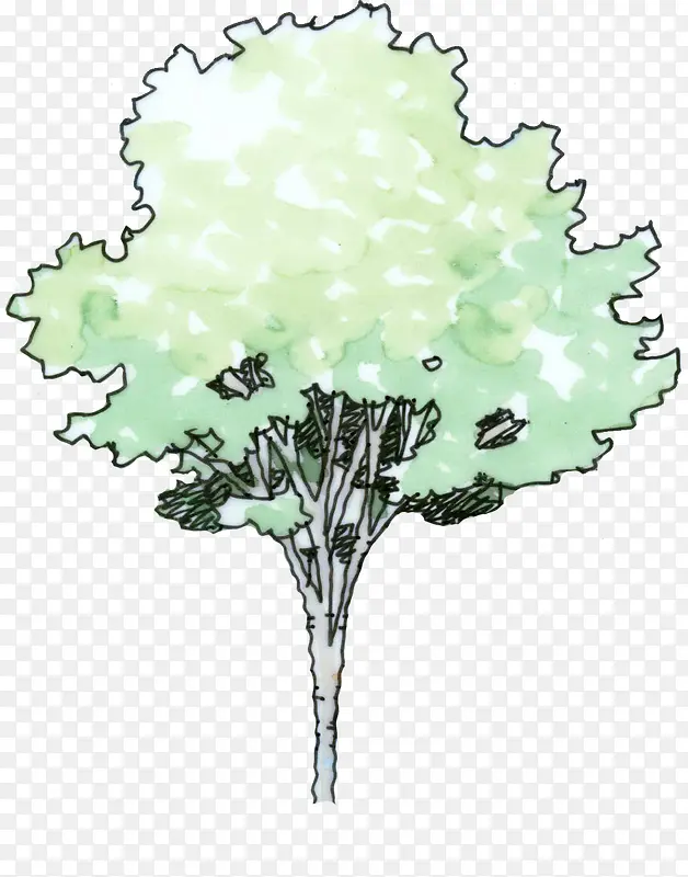 手绘绿色大树插画