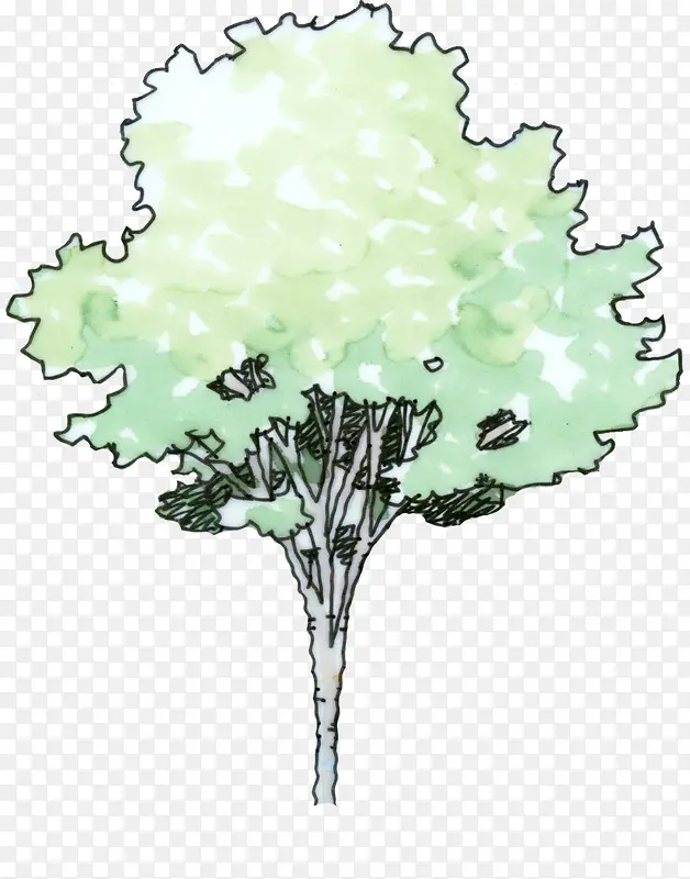 手绘绿色大树插画PNG图片素材下载_图片编号10478094-PNG素材网