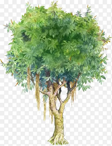 手绘漫画蓝绿色大树
