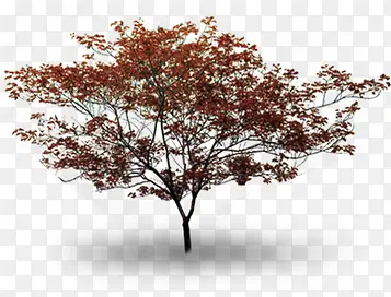 红色创意大树美景