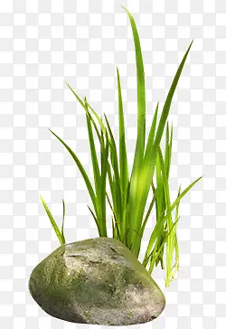 绿色植物创意草地