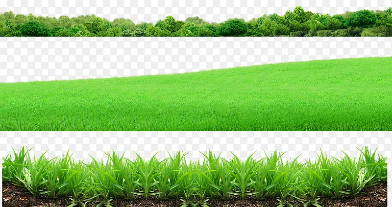 绿色草地元素