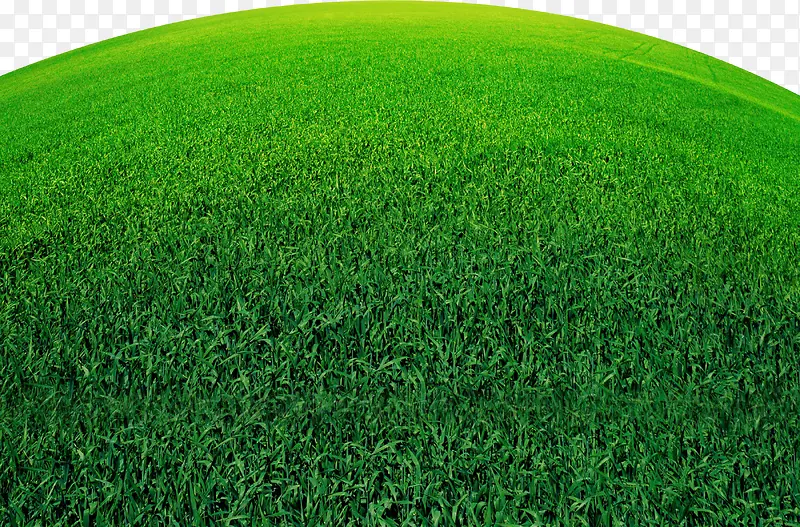 绿色草地环保装饰