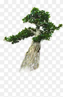 绿色个性朦胧大树