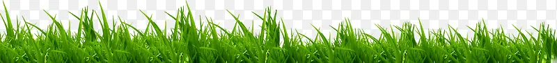 绿色草地美景装饰