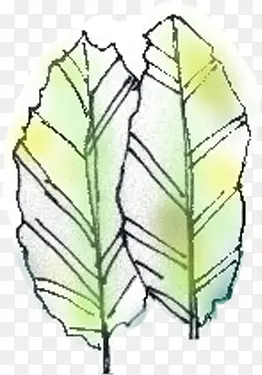 创意高清绿色植物手绘风格