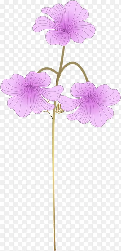 手绘紫色浪漫婚礼花朵