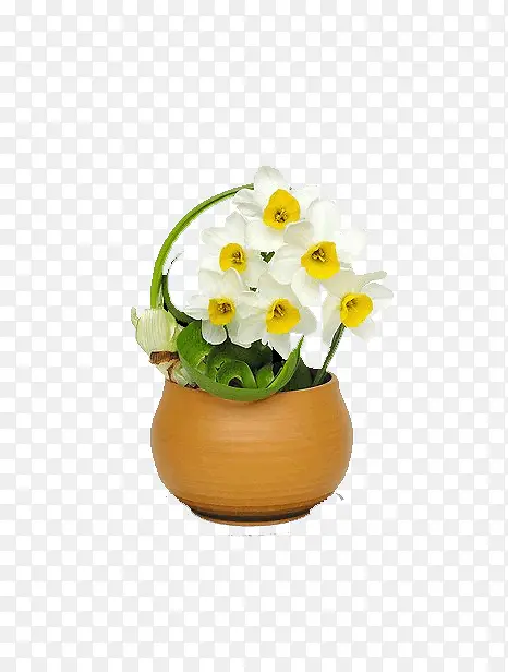 花卉
