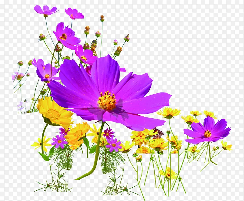 紫色植物花朵设计效果卡通