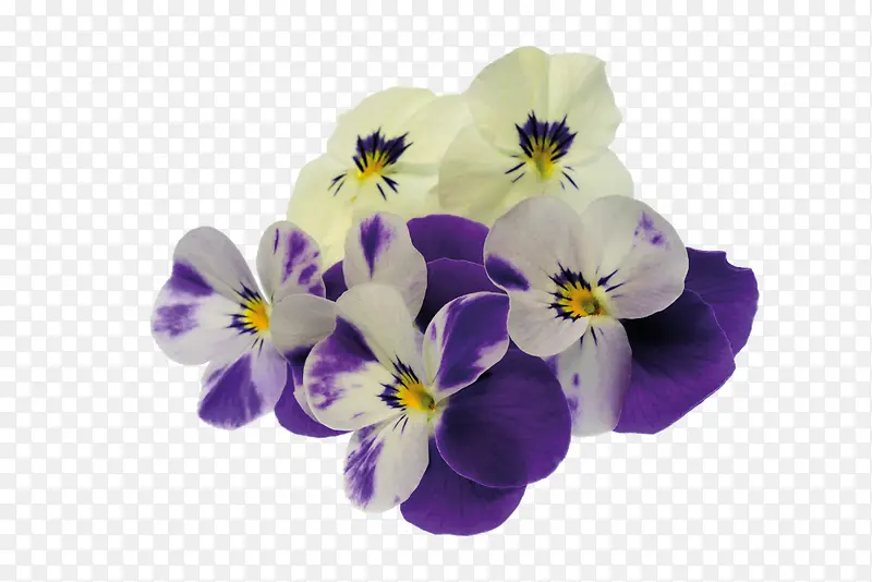 花卉
