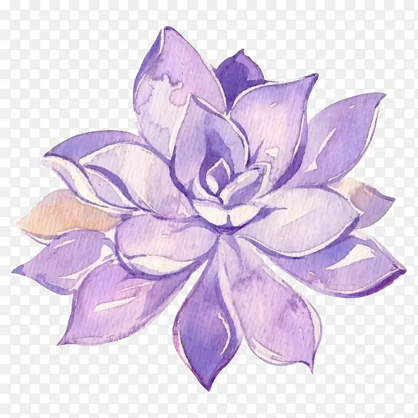 紫色手绘美丽花朵可爱