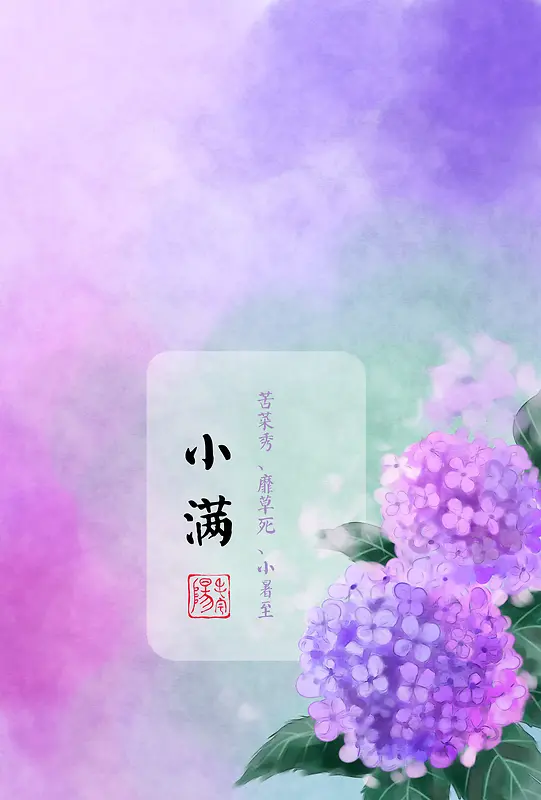 紫色花朵节气小满