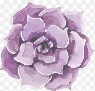 手绘紫色盛开花朵