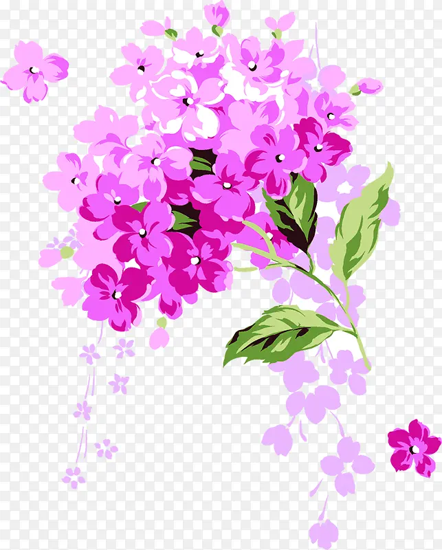紫色唯美淡雅花朵植物