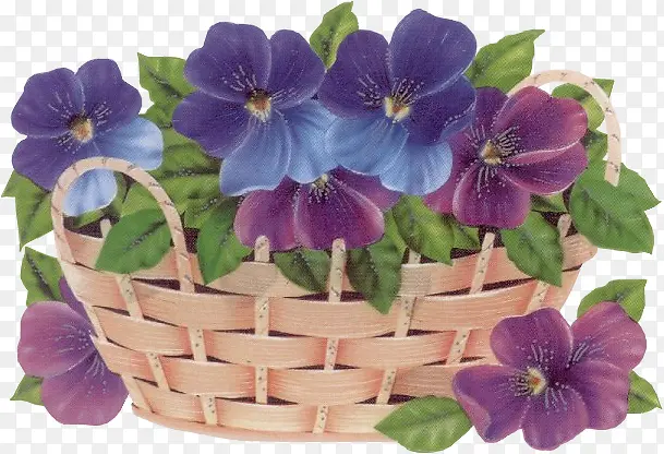 手绘蓝紫色花朵花篮