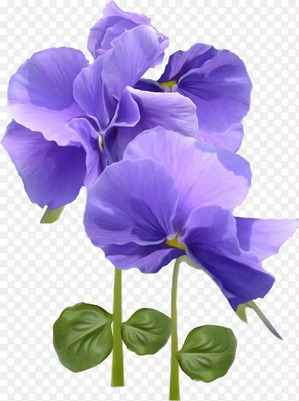漂亮紫色花朵