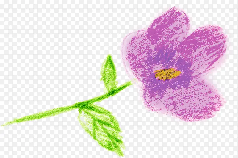 紫色手绘花朵植物美景