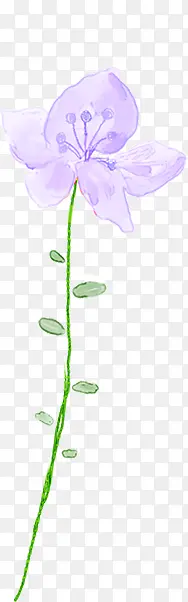 手绘紫色淡彩花卉展板