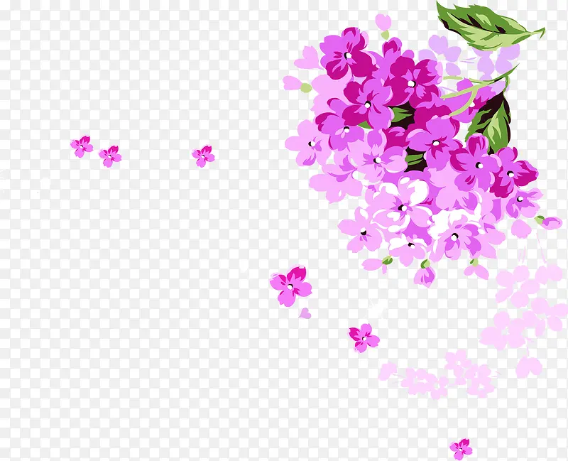 紫色花卉花捧七夕