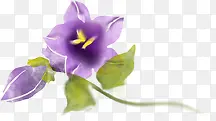 紫色卡通手绘唯美花朵