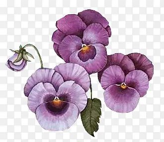 紫色唯美花朵素材