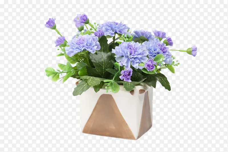 紫色康乃馨桌花图片素材