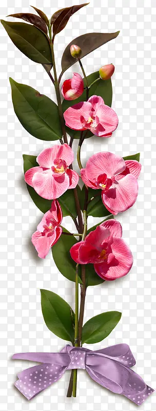 花朵绿叶植物免抠素材