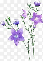紫色花朵树枝设计