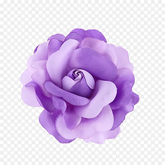 高清紫色清新花朵装饰