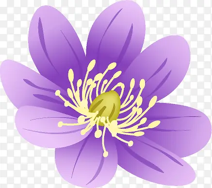 紫色花卉插画素材