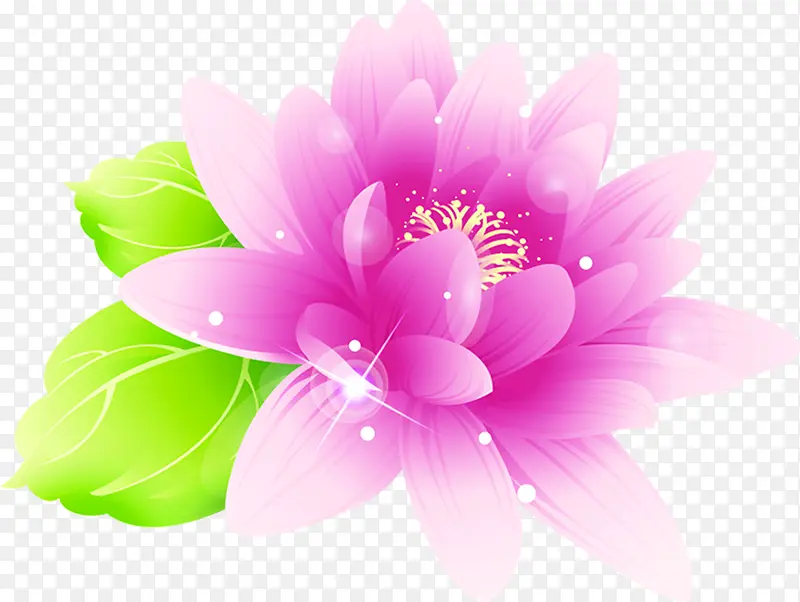 紫色手绘梦幻花朵星光