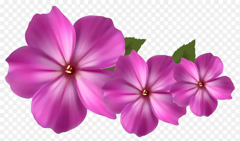 紫色质感手绘花卉
