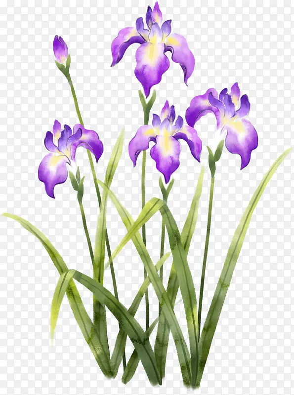 手绘紫色简约花朵