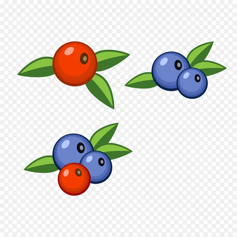 植物水果蓝莓