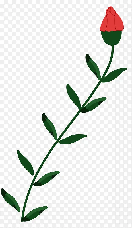 花朵植物清新