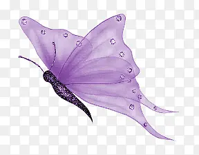 紫色蝴蝶png素材